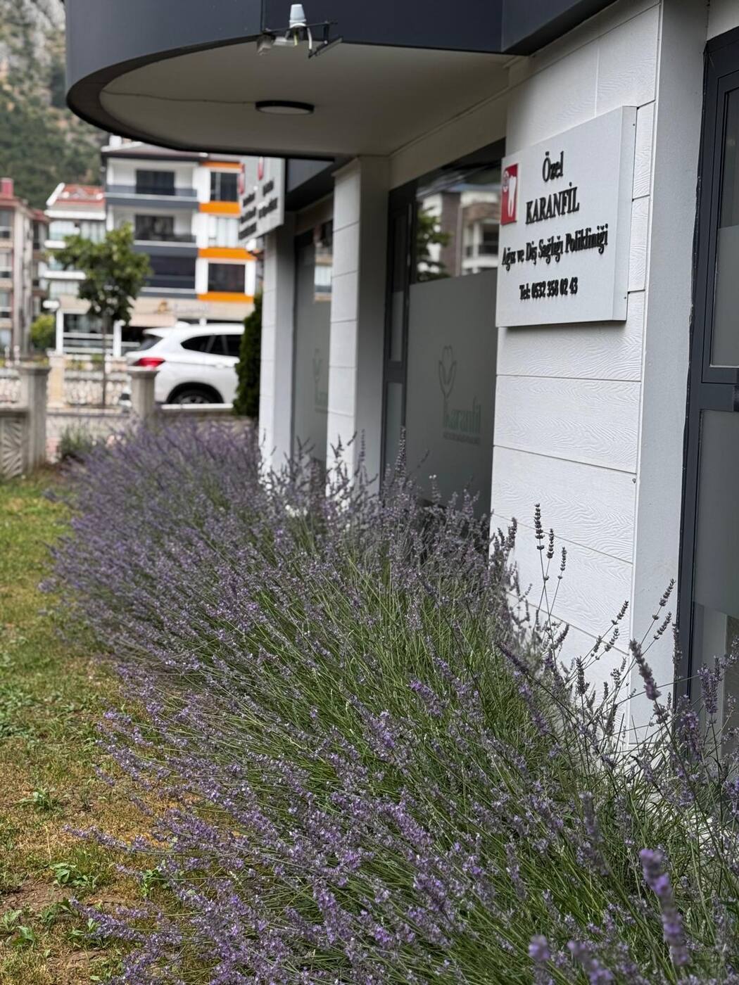 Karanfil kliniği — ön bahçe ve klinik binası